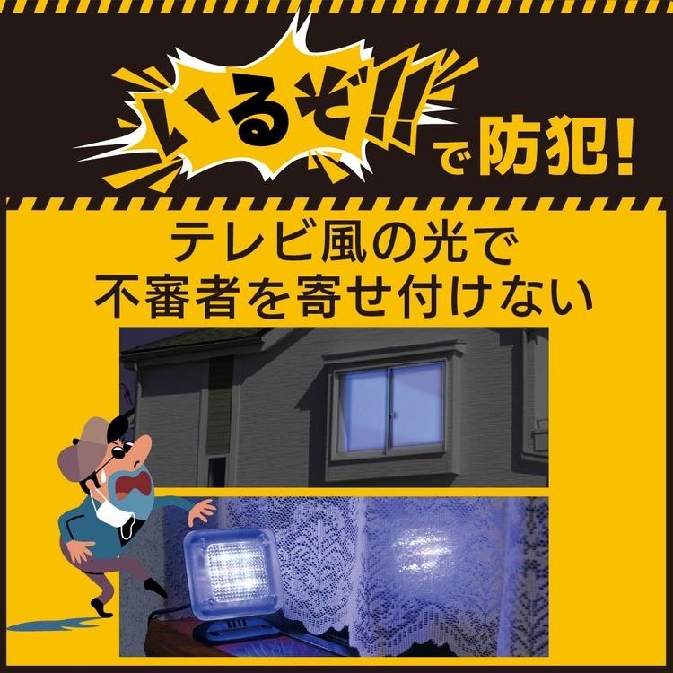 画像出所：DCM公式オンラインストア