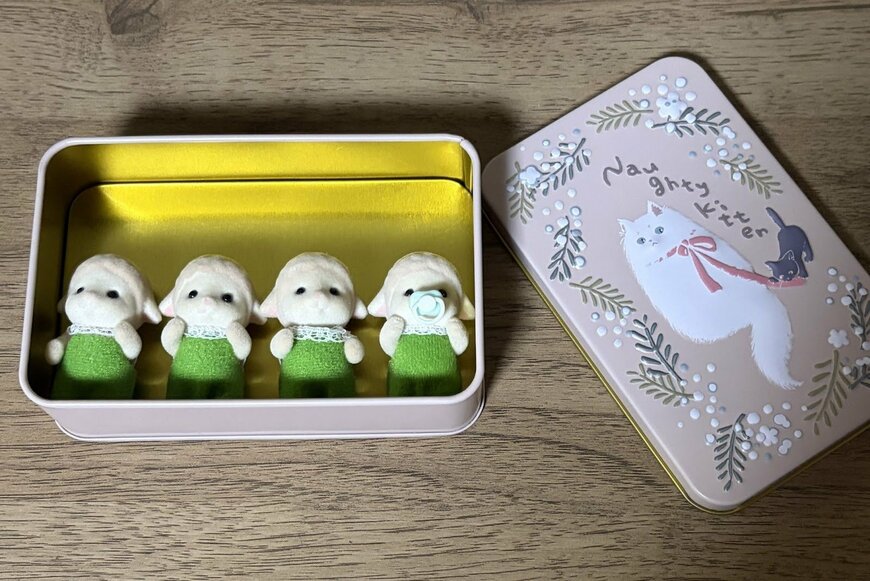 筆者撮影（セリア、ギフト缶 猫×花）