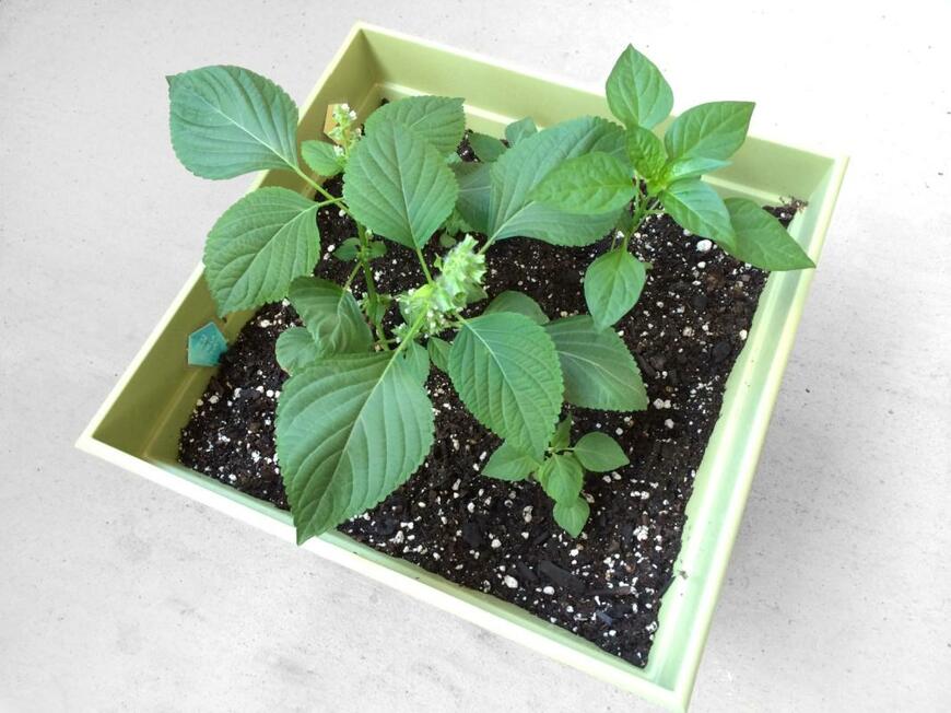 Line By Line Vectors/shutterstock.com