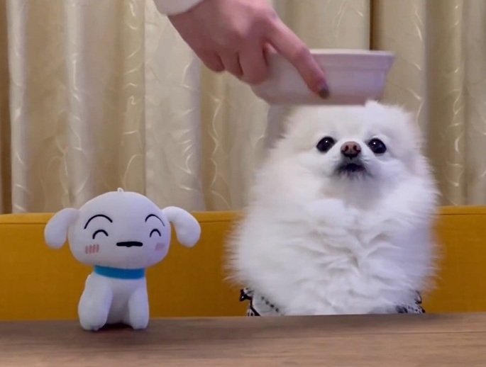 出所：@boku_ponchan