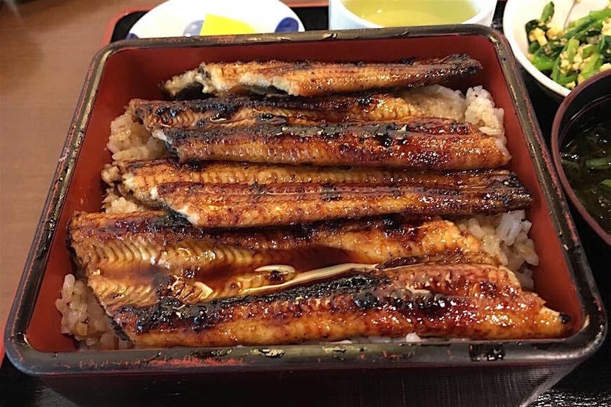 四万十川で天然ウナギを食べてみた