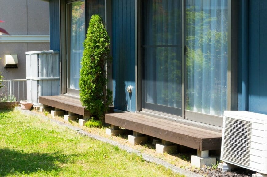 「自宅の小さい畑」で収穫した白菜に思わず目を疑う　「まさかのサイズ」に衝撃走る…