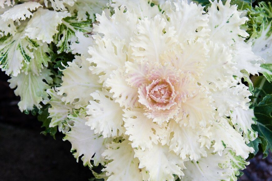 jatrax/istockphoto.com