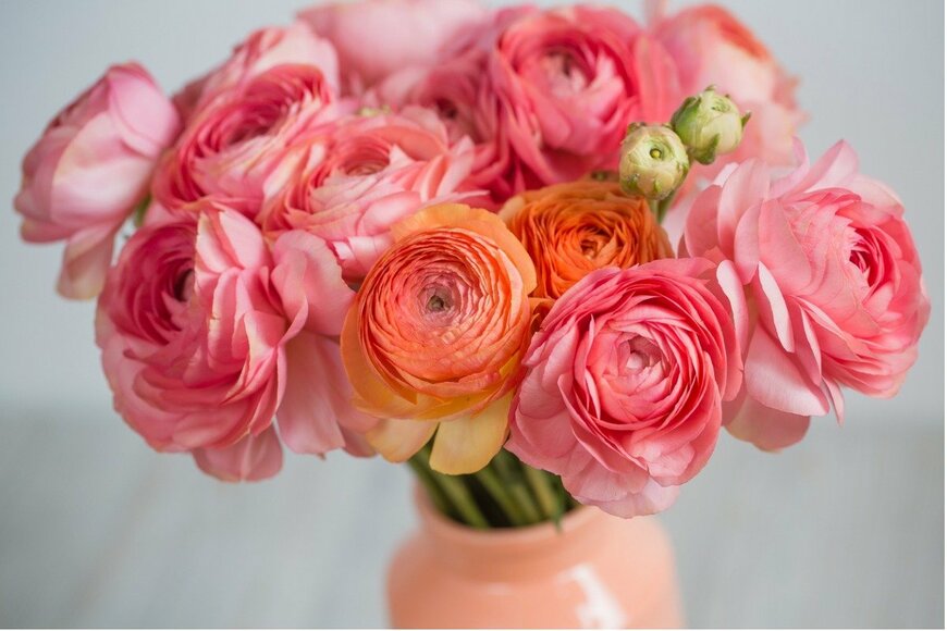 Malkovstock/istockhphoto.com