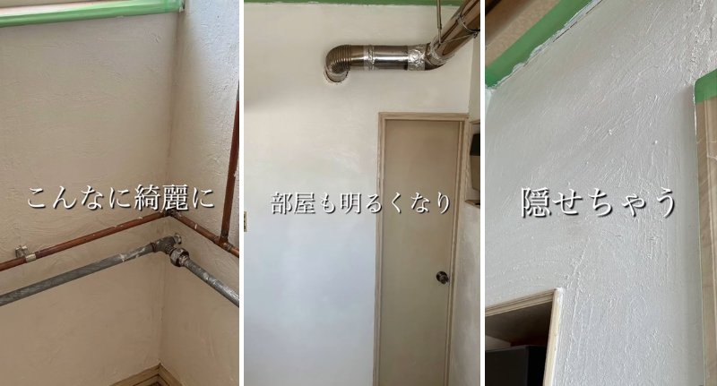 投稿の画像