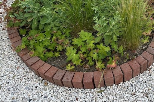レンガで縁取られた花壇。緑の葉が植わっている。