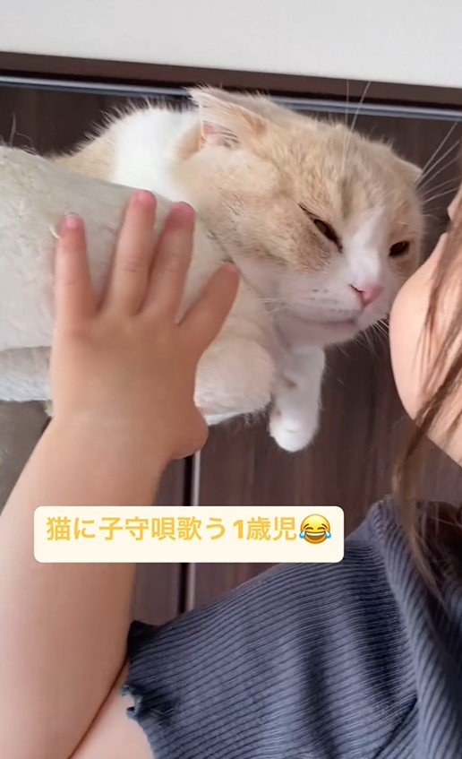 猫と1歳児