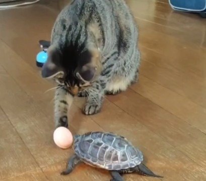 お皿をまるでおもちゃのようにして遊ぶ二人