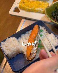 【まるでパズル？】詰め方が斬新すぎる！しゃけをどーんと盛り付けたボリューム満点の「男子高校生弁当」が話題