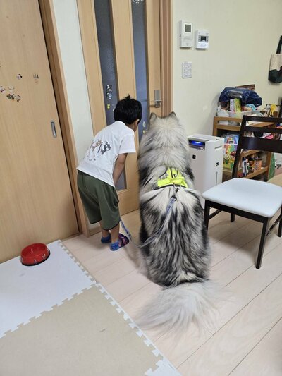 フブキちゃんと親戚の男の子