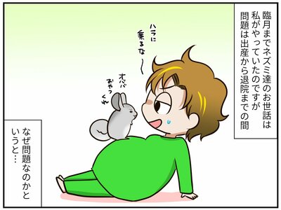 チンチライフ180話