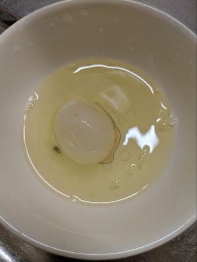 投稿の画像
