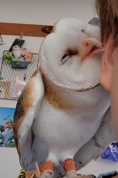 投稿動画のワンシーン