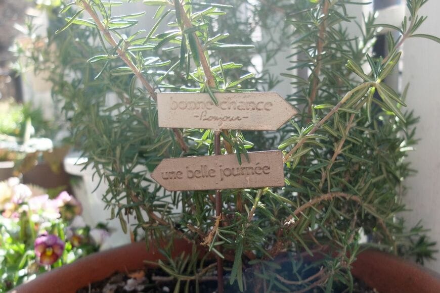 筆者撮影（セリア、ブリキガーデンピック プレート）