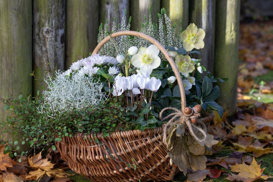 Natalia Greeske/Shutterstock.com