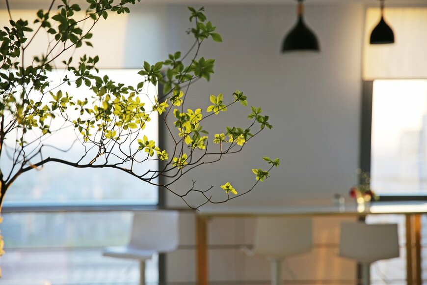 Qianwei Bian/Shutterstock.com