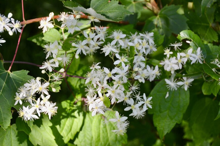 Chris Dale/shutterstock.com