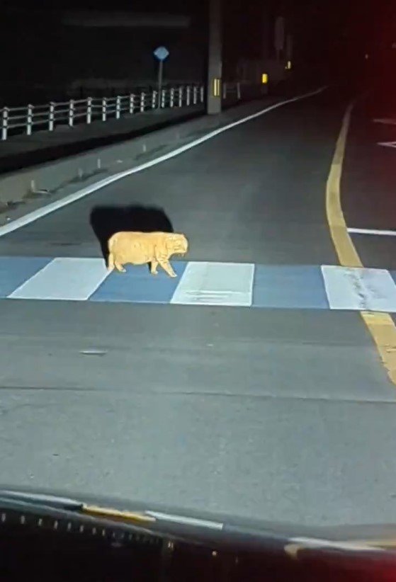 出所：@bnr3432015425