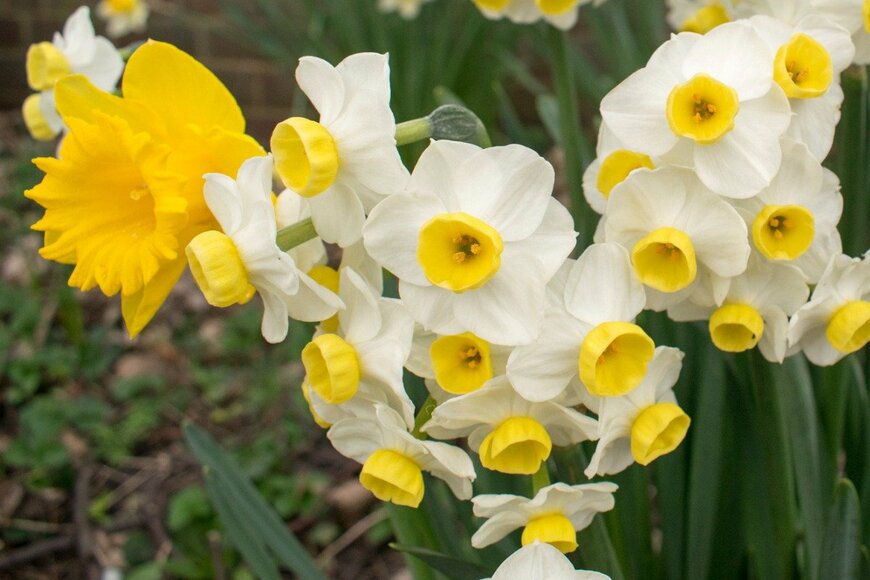 Des Green/istockphoto.com