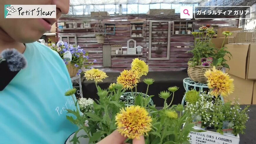 出所：@petit_fleur