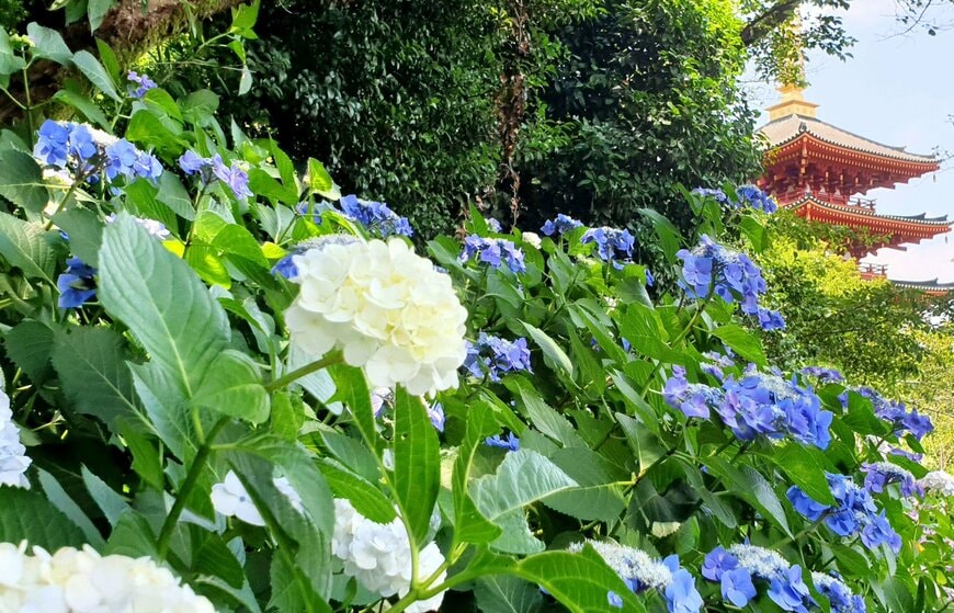 Yoko Lost in Japan/shutterstock.com