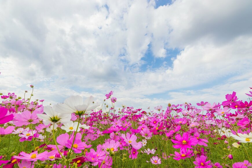 TakaH/shutterstock.com