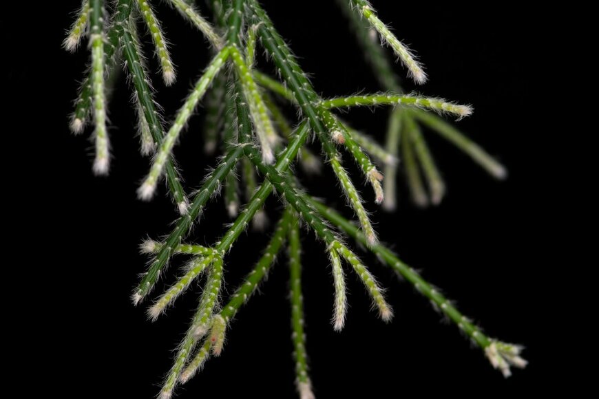 motorolka/Shutterstock.com