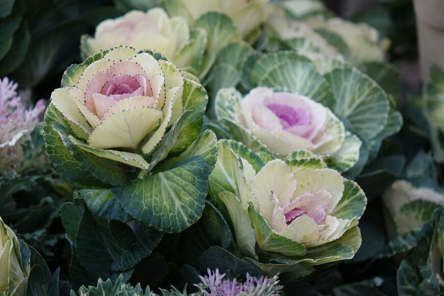 Photobank.kiev.ua/Shutterstock.com