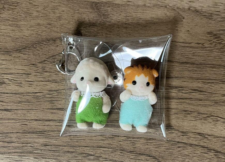 筆者撮影（セリア、PVCクリアミニポーチスクエア）