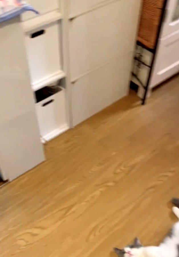 出所：@omochiomoching