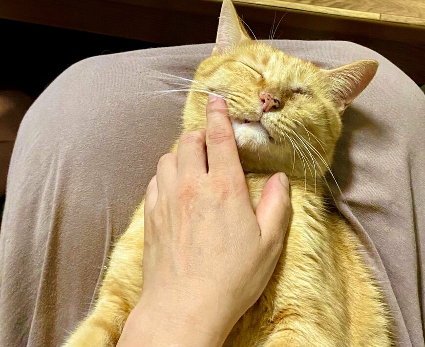 出所：@luna7taka9