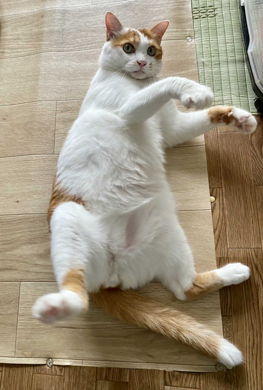 出所：@luna7taka9