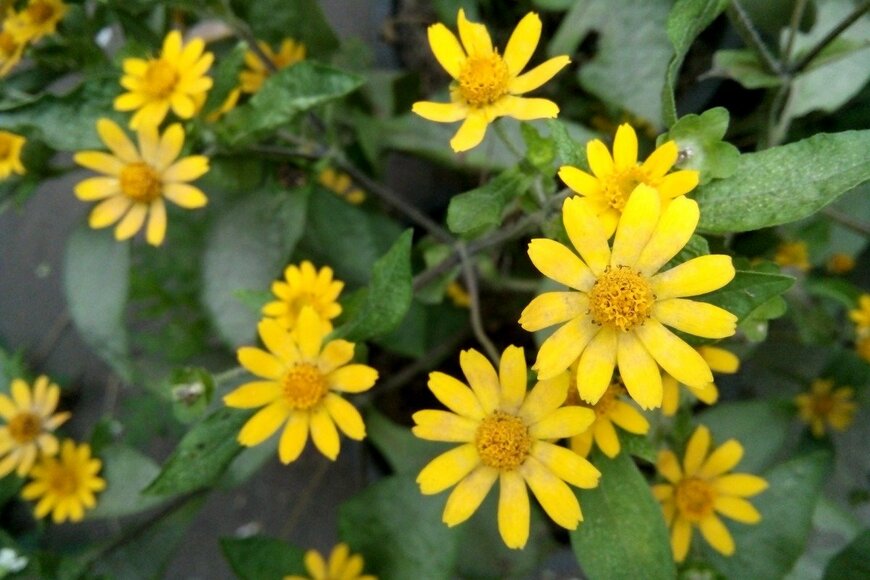 KrasStock/istockphoto.com