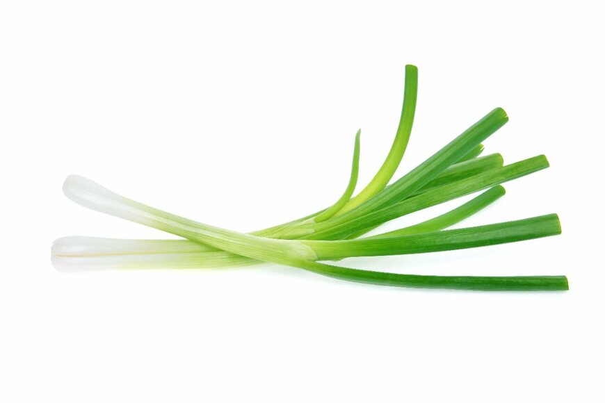 akepong srichaichana/shutterstock.com