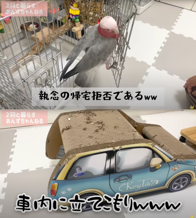 出所：@anz_omomiri