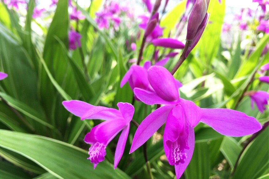 hachiware/istockphoto.com