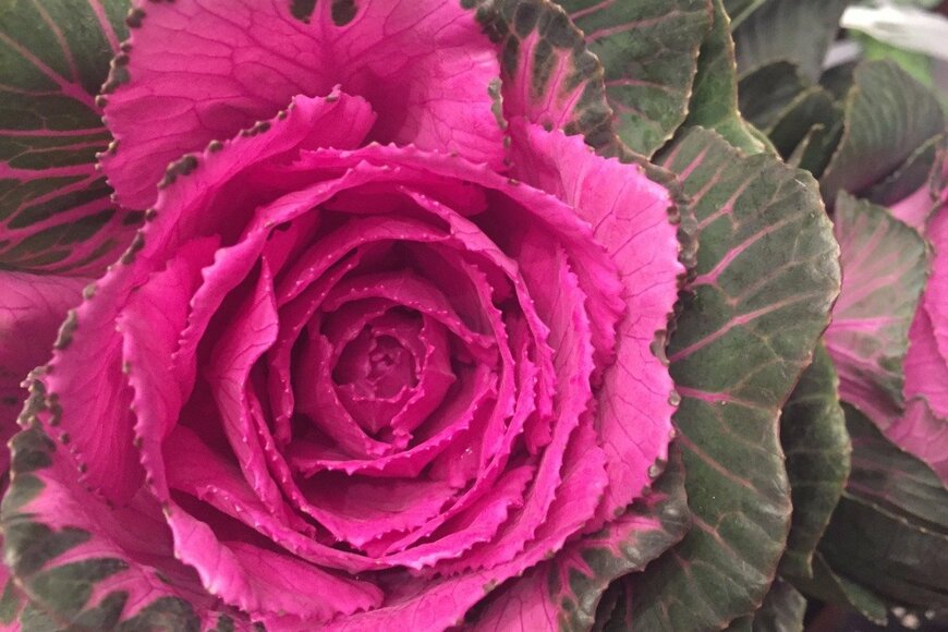 Latia Jones/istockphoto.com