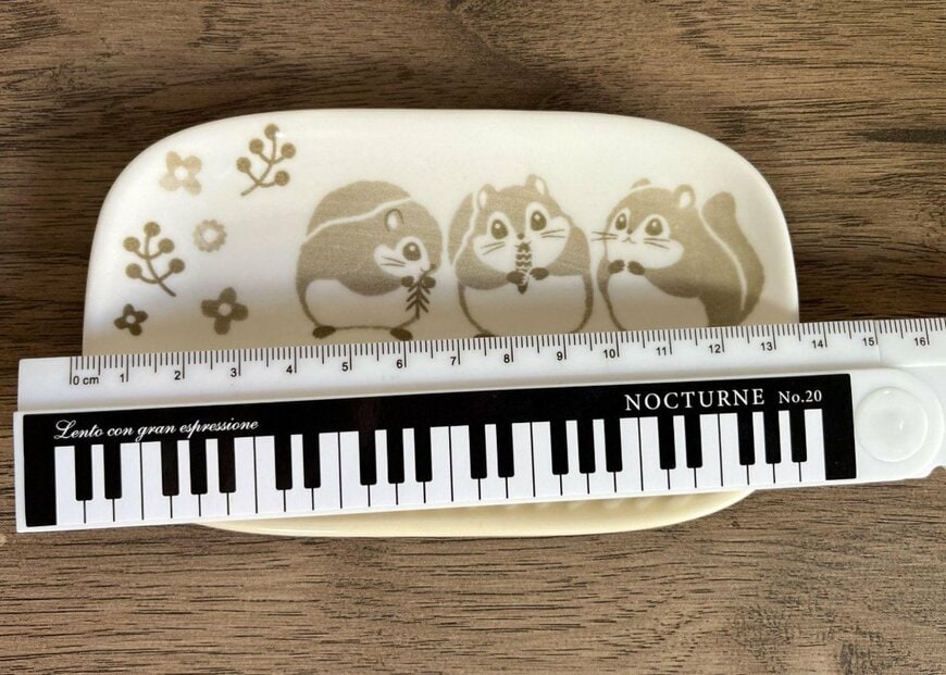 筆者撮影（セリア、レクタングルプレート エゾモモンガ）