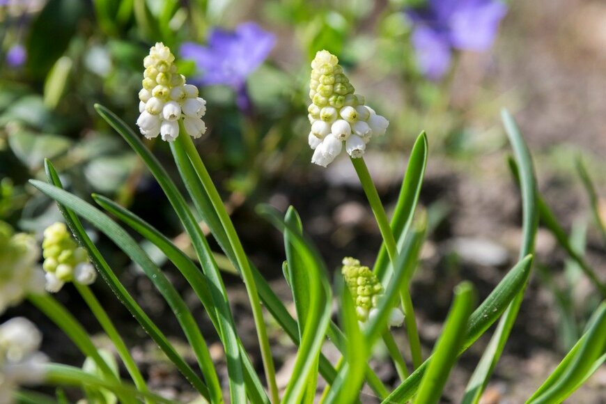 Iva Vagnerova/istockphoto.com