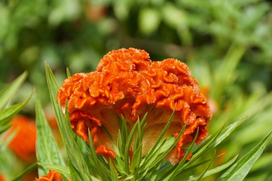 Khairil Azhar Junos/shutterstock.com