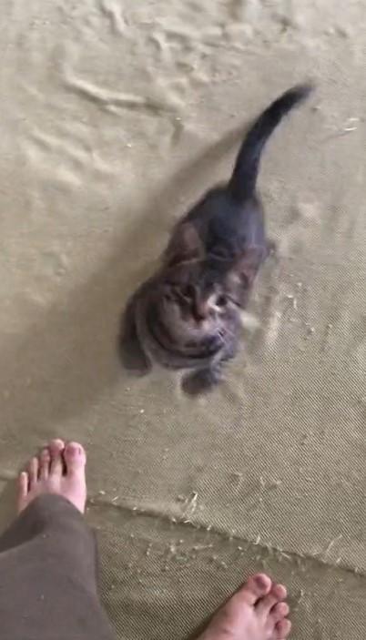 出所：@00shitemita