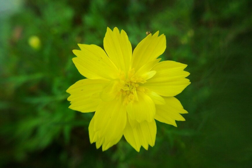 Evri Onefive/istockphoto.com