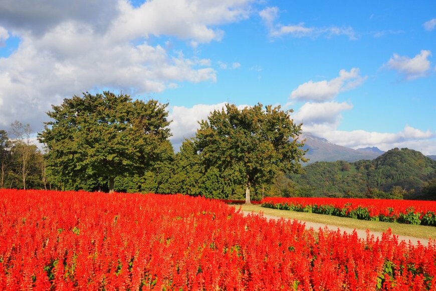 twilllll/shutterstock.com