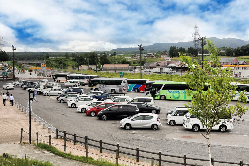 topimages/shutterstock.com