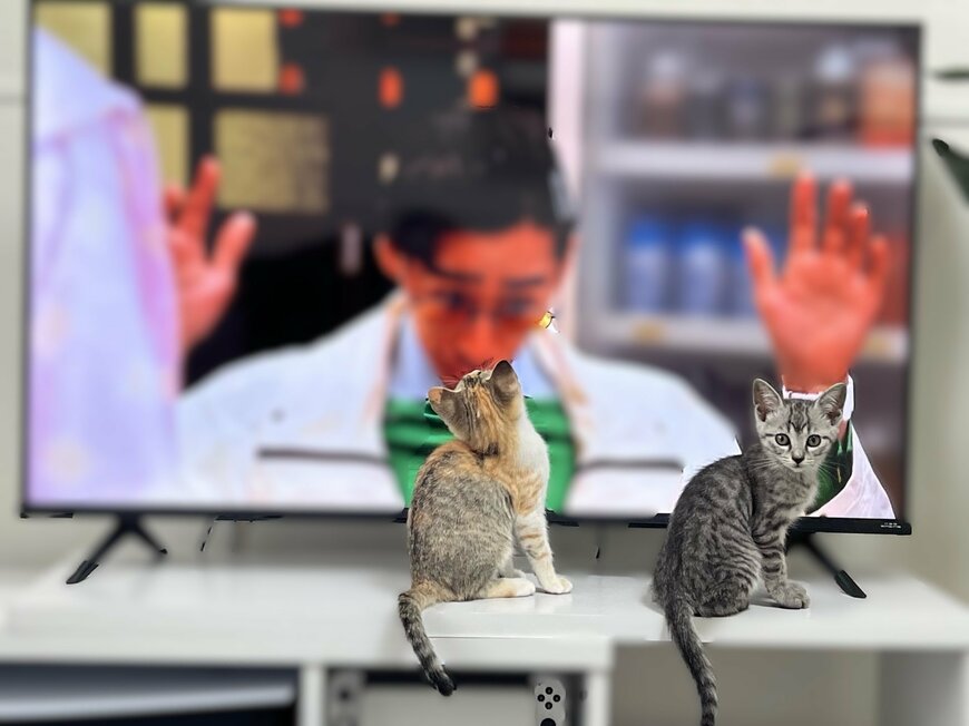 出所：@totomaru_hanmi