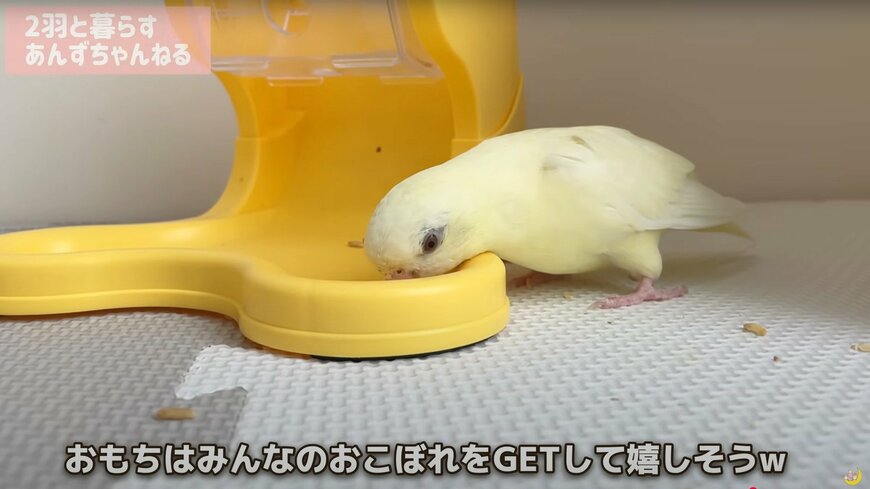 出所：@anz_omomiri