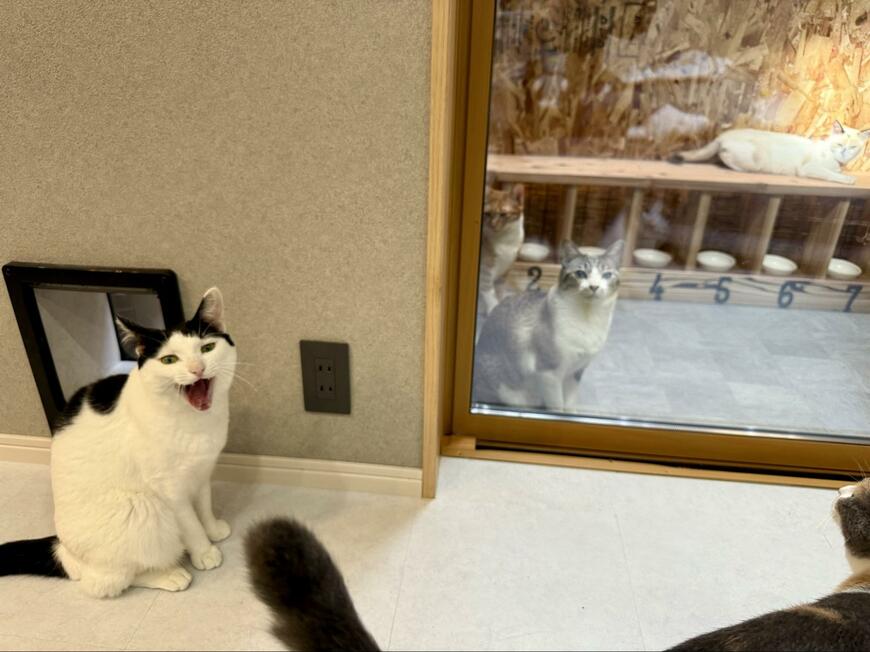 出所：@omochi_nam01