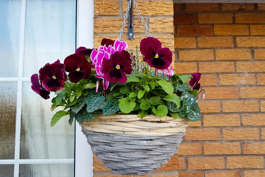 Groomee/shutterstock.com