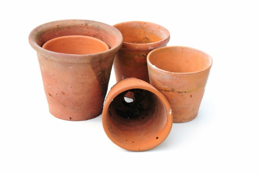 claire norman/shutterstock.com