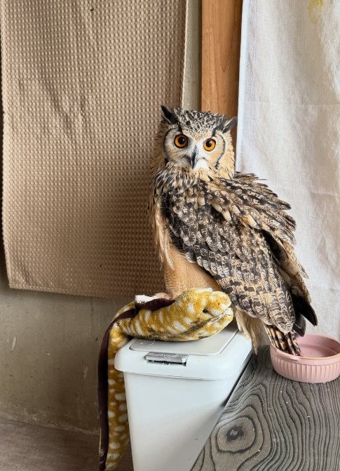 出所：@ba_chantolatte